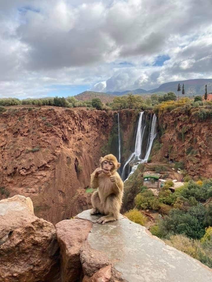Ouzoud Morocco 2